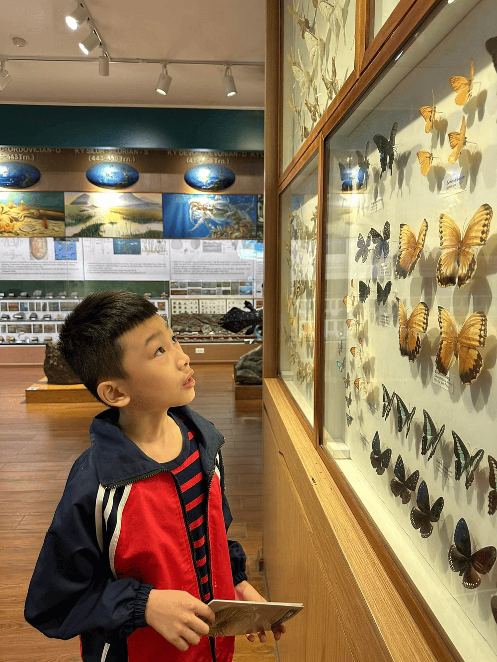 Các bộ sưu tập của mỗi loài đều được chú thích rõ ràng (Nguồn: Bảo tàng Thiên nhiên Việt Nam)